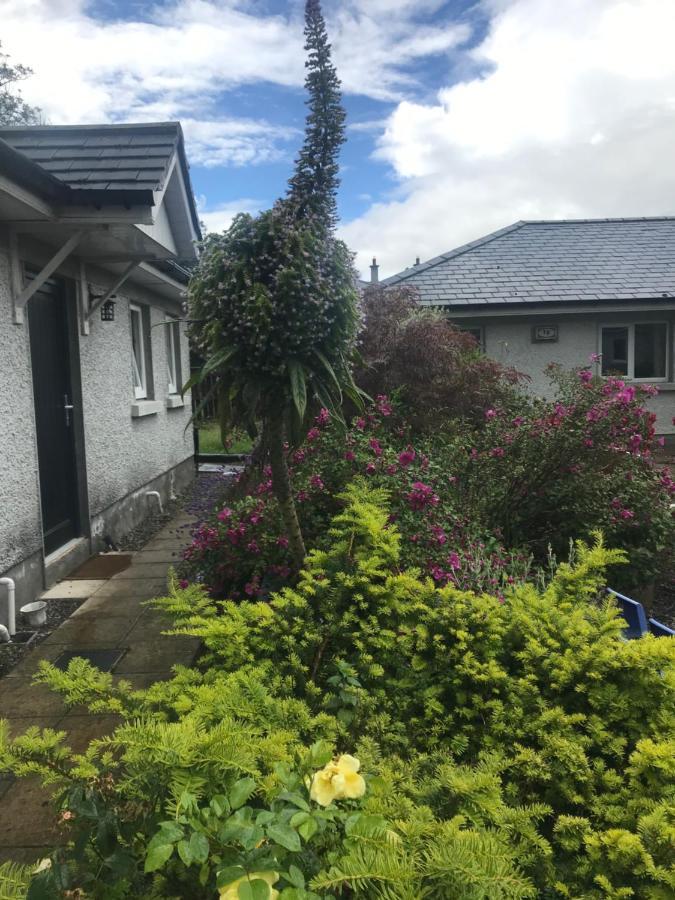 A Selection Of Self Catering Holiday Homes At Kilcloon Cottages เมย์นูท ภายนอก รูปภาพ