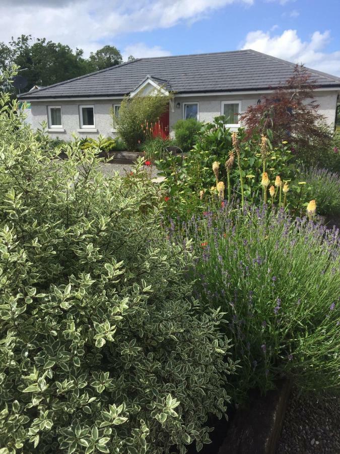 A Selection Of Self Catering Holiday Homes At Kilcloon Cottages เมย์นูท ภายนอก รูปภาพ